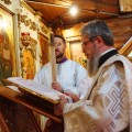 Photo 07